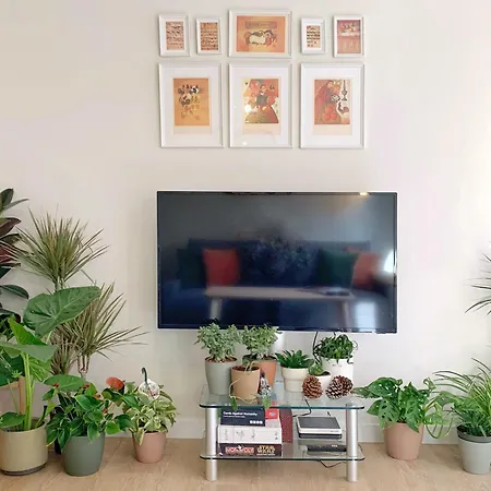 Charming Flat In Bermeo's Old Town- Nardiz דירה ברמאו